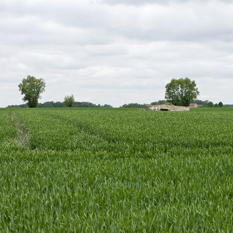 Casemate à canon 57