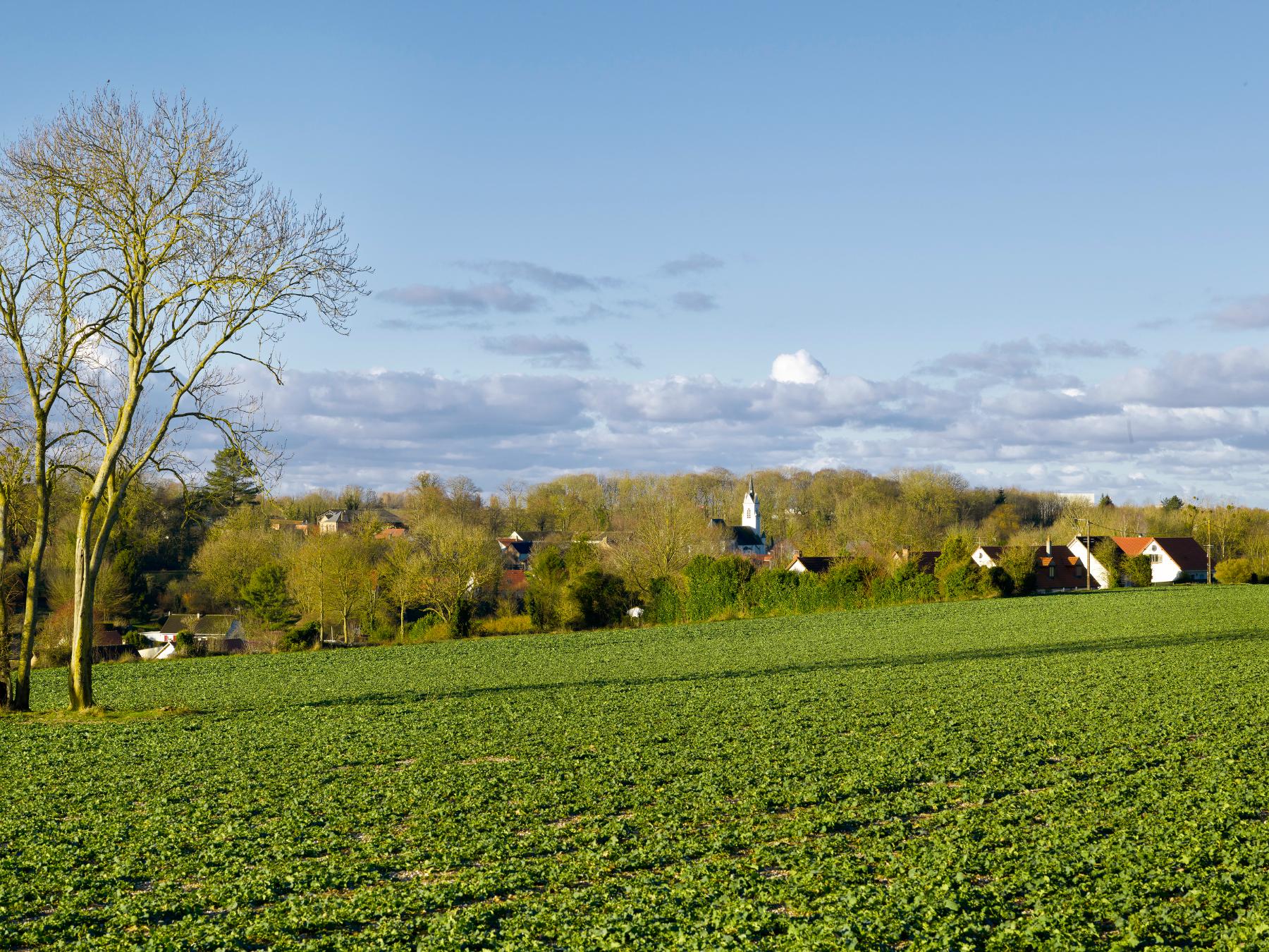 Le village de Vauchelles-les-Quesnoy