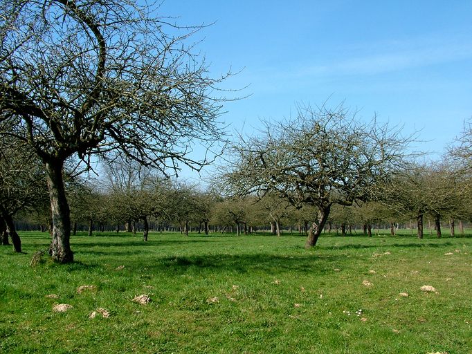 Le village de Ribeaucourt