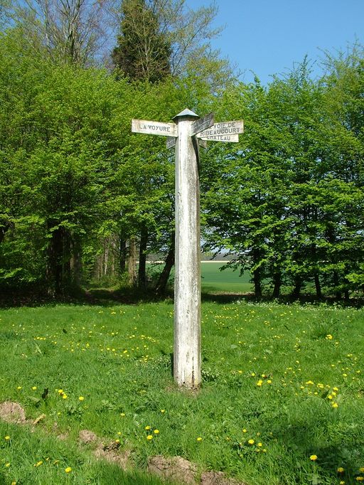 Grand parc et parc de chasse du château