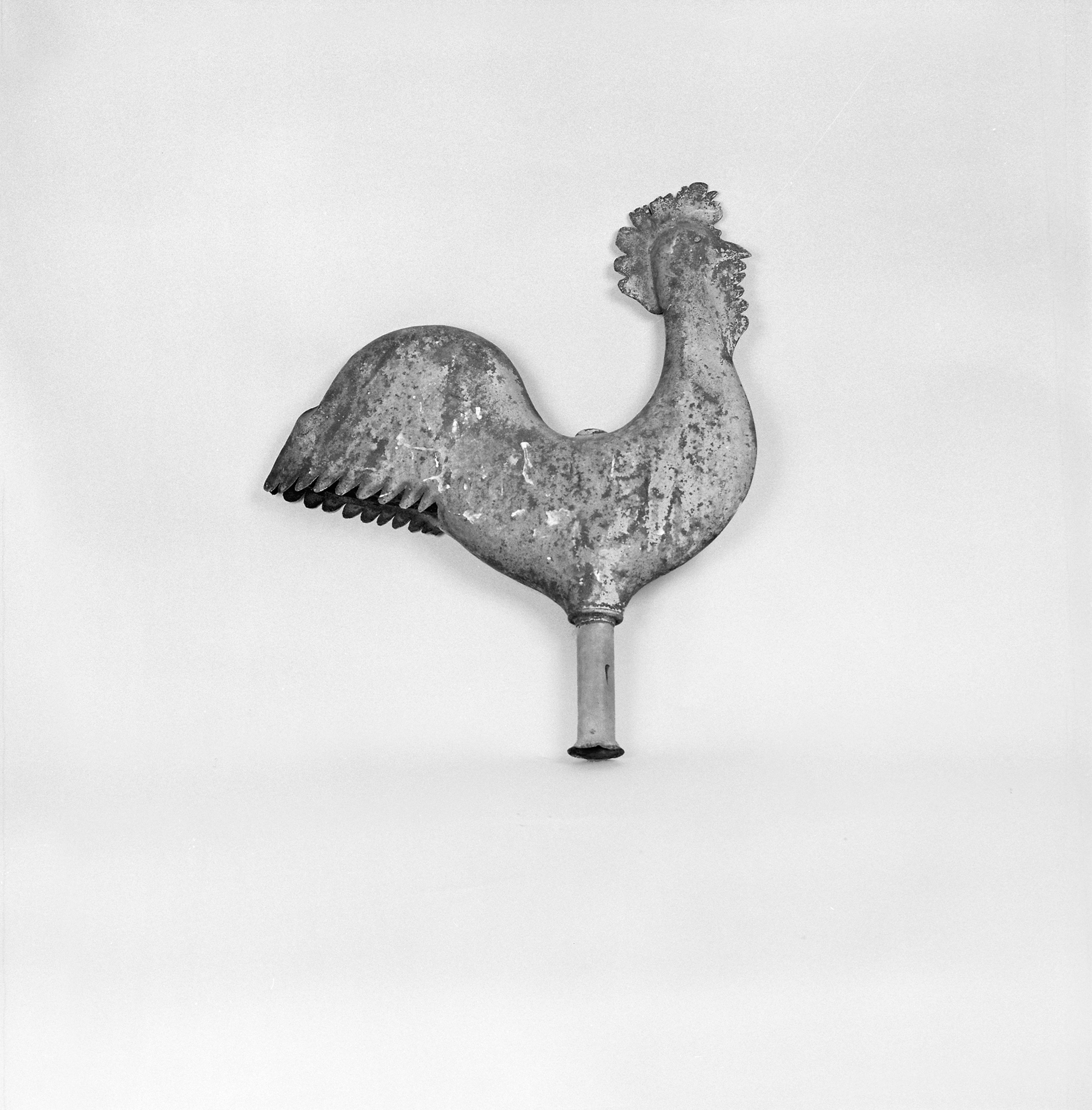 Coq