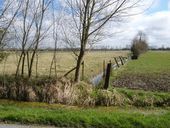 Importance de la présence de l'eau dans le village (il s'agit ici d'une vue des canaux le long de la R.D. 140 à Morlay).