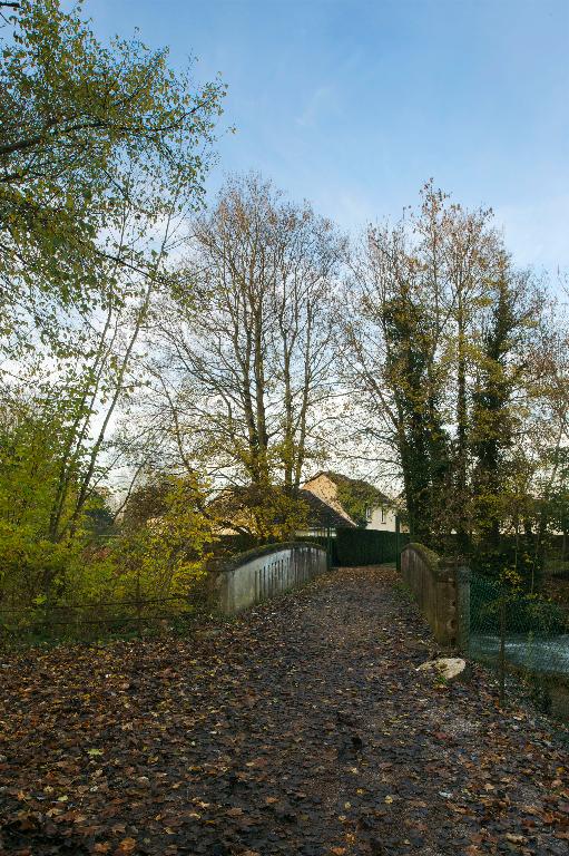 Ancien moulin à blé Hullin, puis filature de laine et de lin Vayson, puis Liénard, puis de l'Union Linière de Pont-Remy, puis tissage de jute Saint Frères, dite Usine du Bas, aujourd'hui lotissement concerté des Moulins