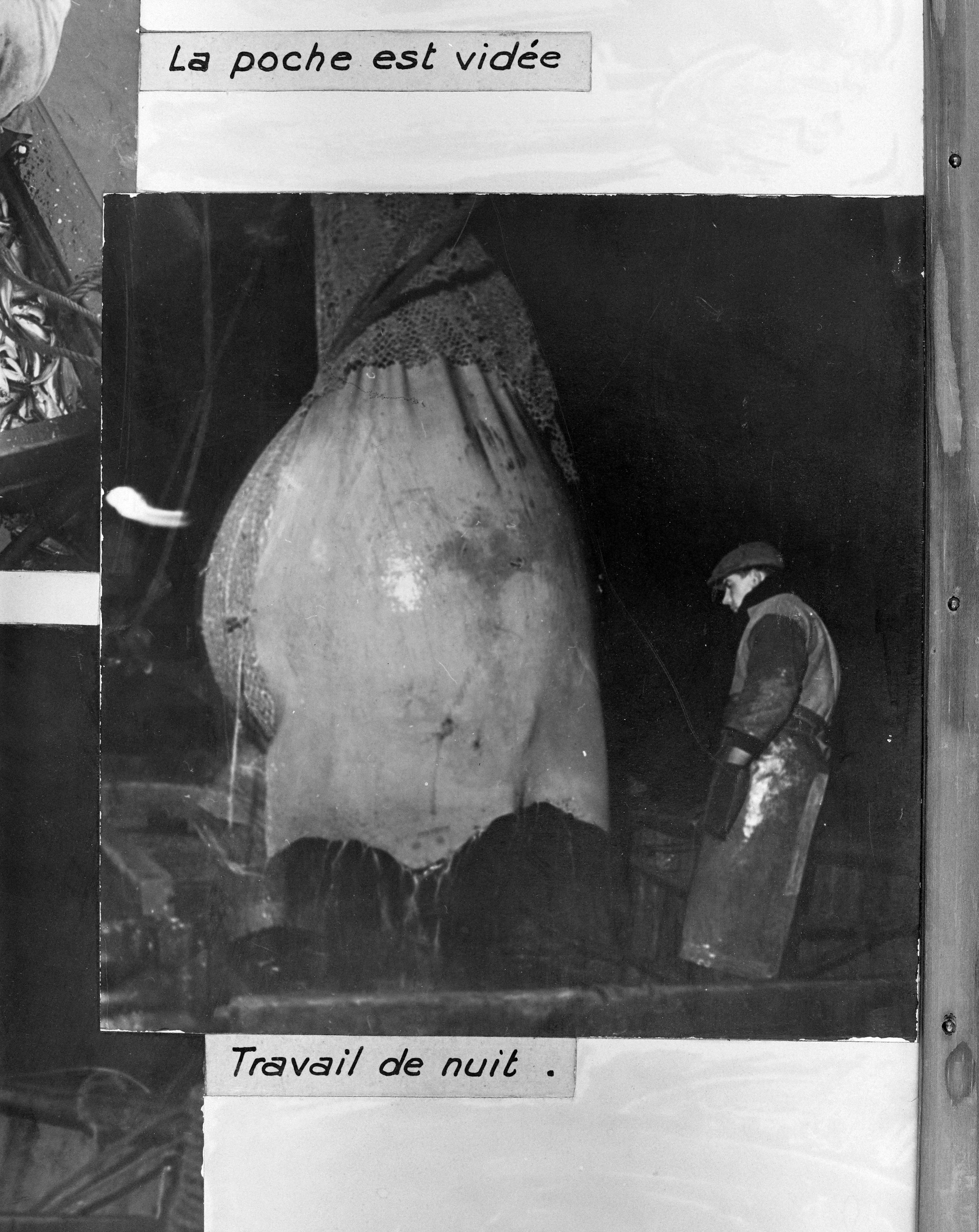 Ancienne chambre de commerce de Boulogne-sur-Mer, actuellement institut de recherche dit laboratoire de l'institut scientifique et techniques des pêches maritimes Ifremer