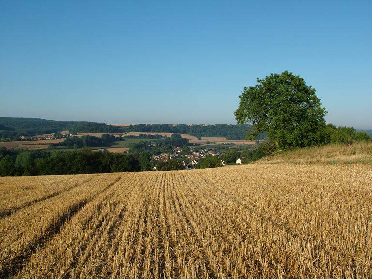 Le canton de Braine : le territoire de la commune de Bazoches-sur-Vesles