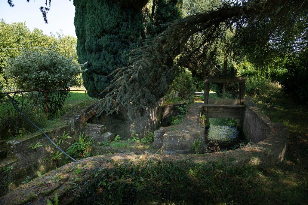 Ancienne minoterie dite moulin Dervois puis Leclerc, puis graineterie Dubernay, aujourd'hui maison