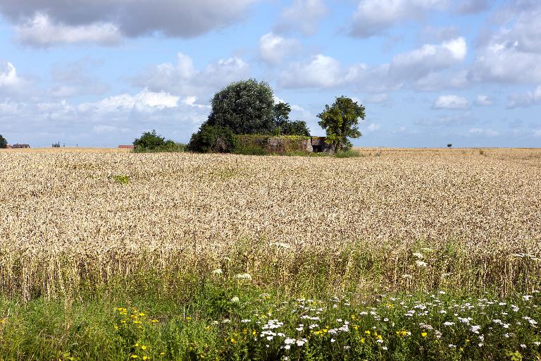 Les ouvrages fortifiés de la première guerre mondiale : le Champ de bataille des Weppes - dossier de présentation