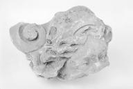 Fragment de chapiteau (?) : la tête de femme