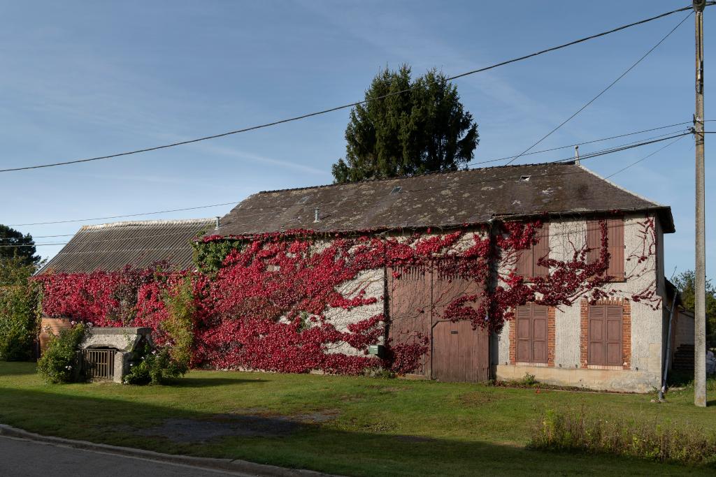 L'habitat du village de Doméliers