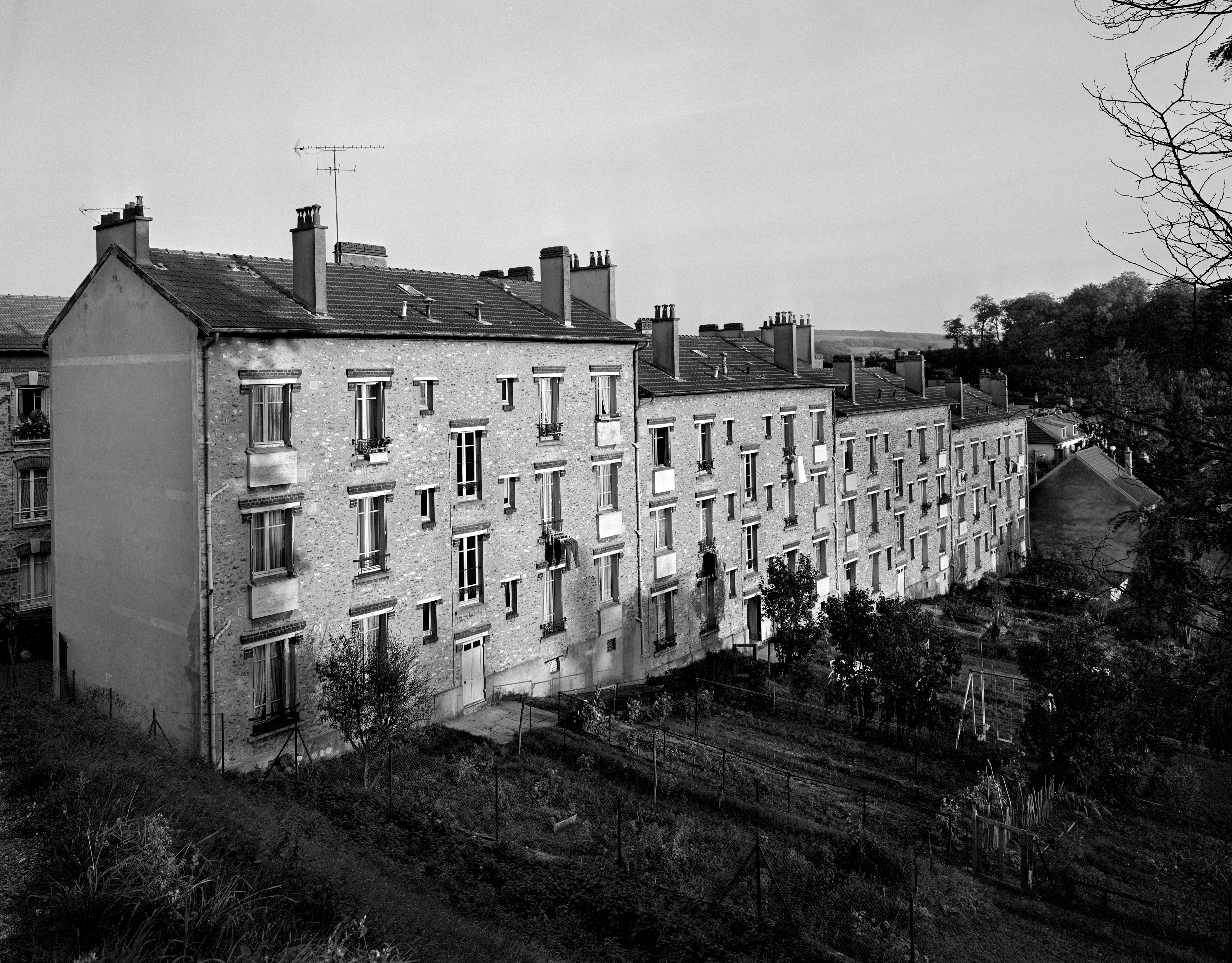 Elévation sur les jardins des immeubles du côté pair.