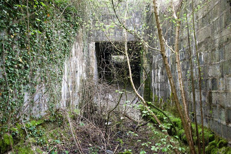 Histoire batailles en 1944-1945. Forêt de Bliesbruck : un travail  d'inventaire réalisé par deux passionnés