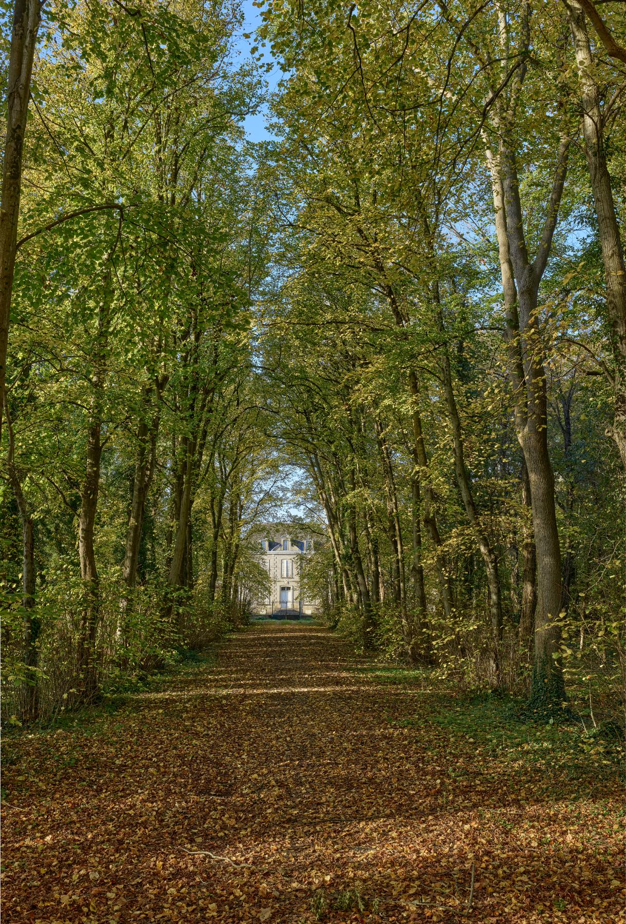 Château du Rohart