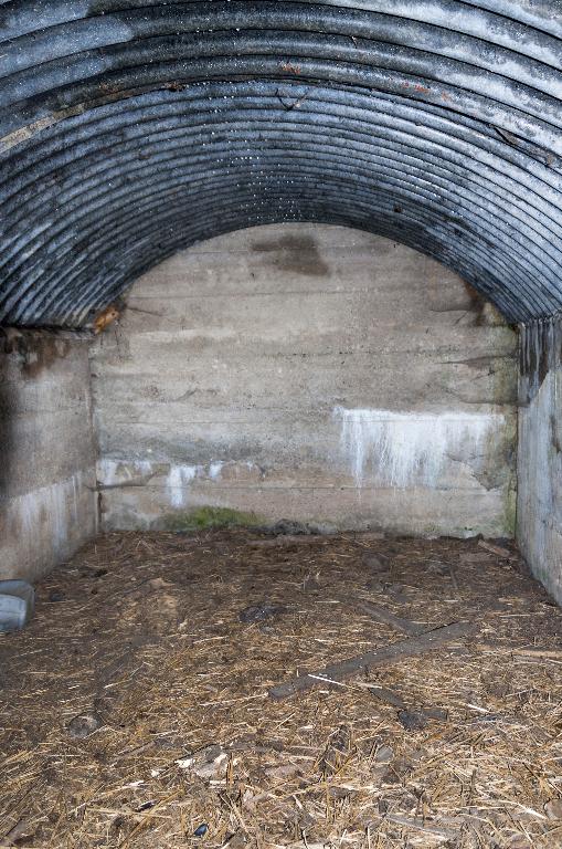 Ensemble de casemates, dites de La Bouchaine