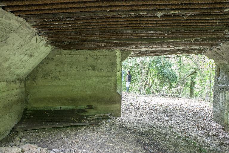 Casemate à canon 688