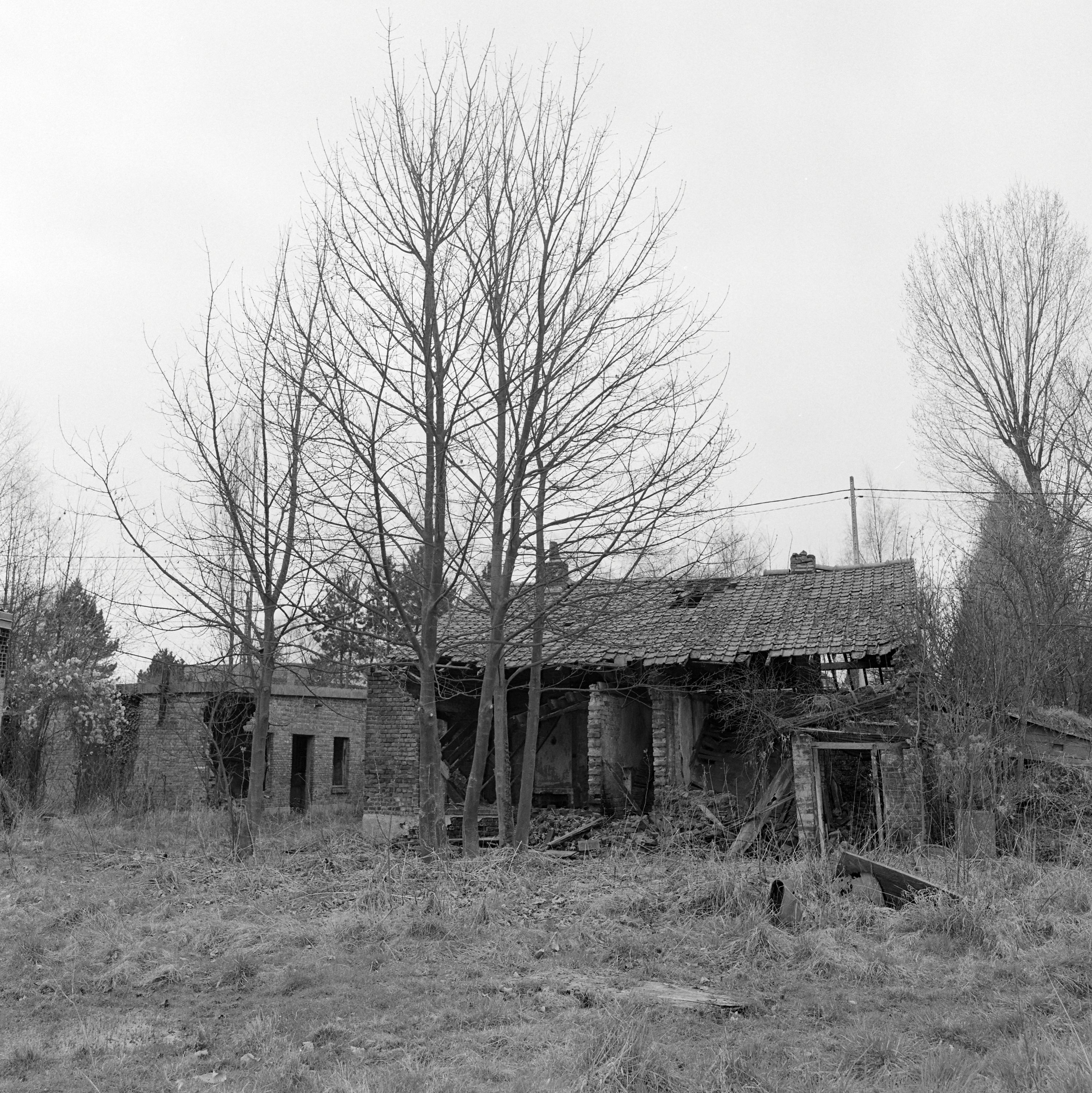 Briqueterie flamande dite Briqueterie Pollet (détruit)