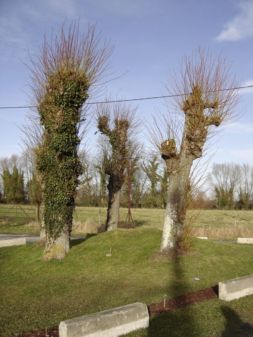 Le hameau de Morlay à Ponthoile