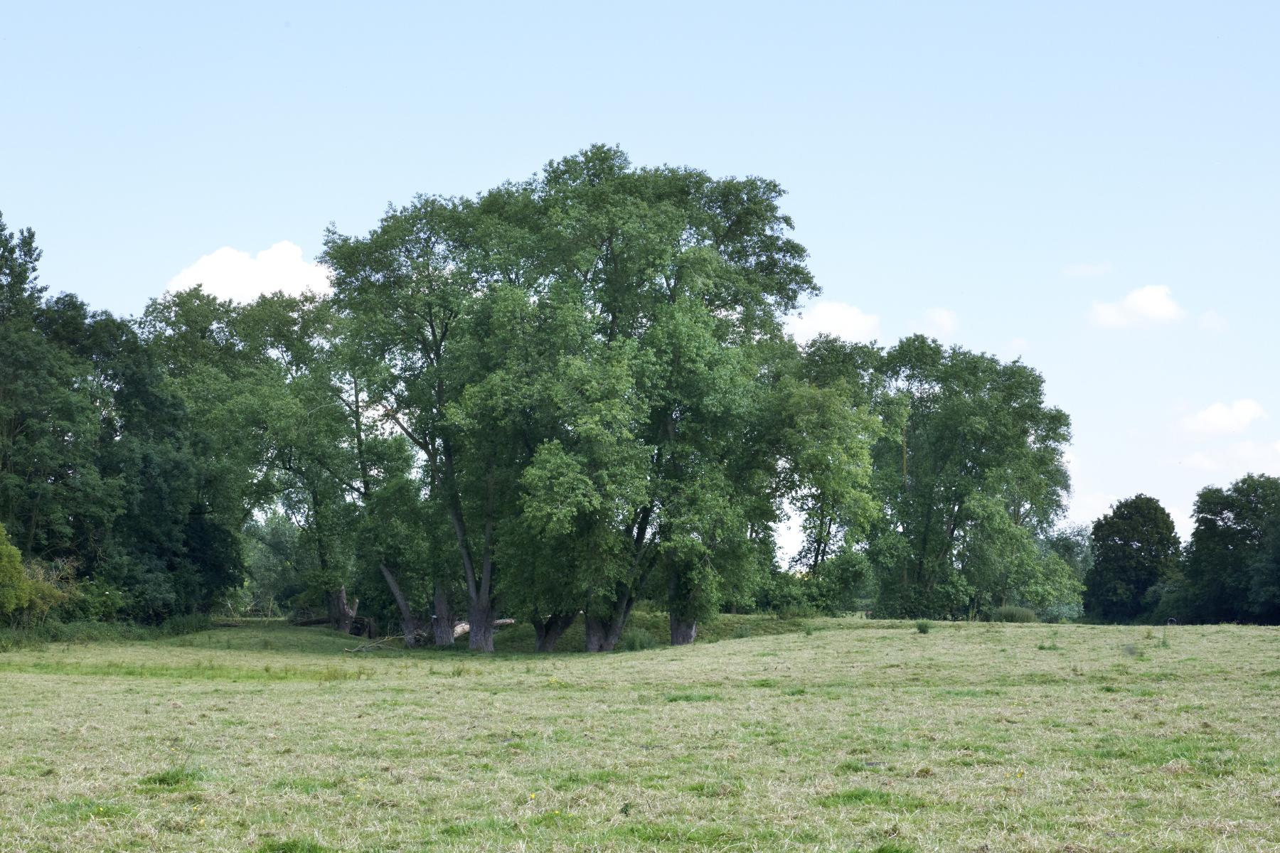 Le canton de Cassel : le territoire de la commune d'Ochtezeele