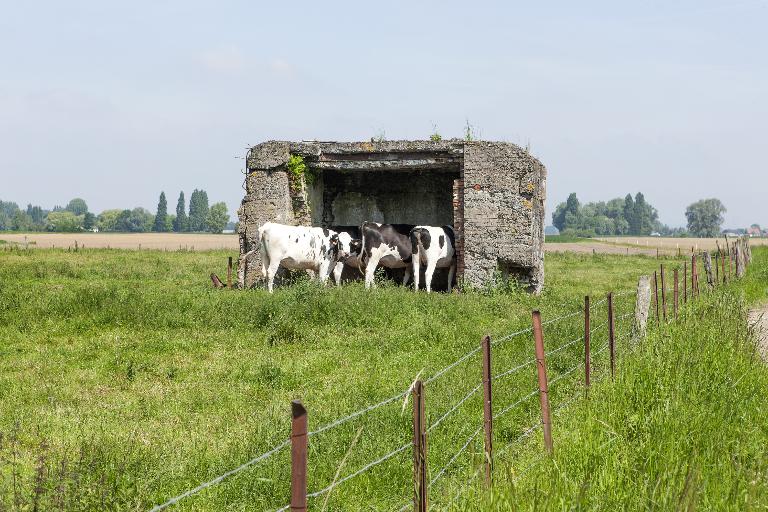 Les ouvrages fortifiés de la première guerre mondiale : le Champ de bataille des Weppes - dossier de présentation