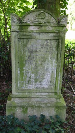 Tombeau (sarcophage) des familles Lemerchier de Gonnelieu-Gaudefroy de Roisel et Génin et enclos funéraire Desprez