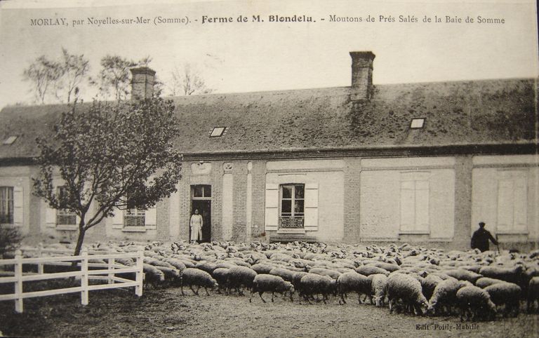 Ferme