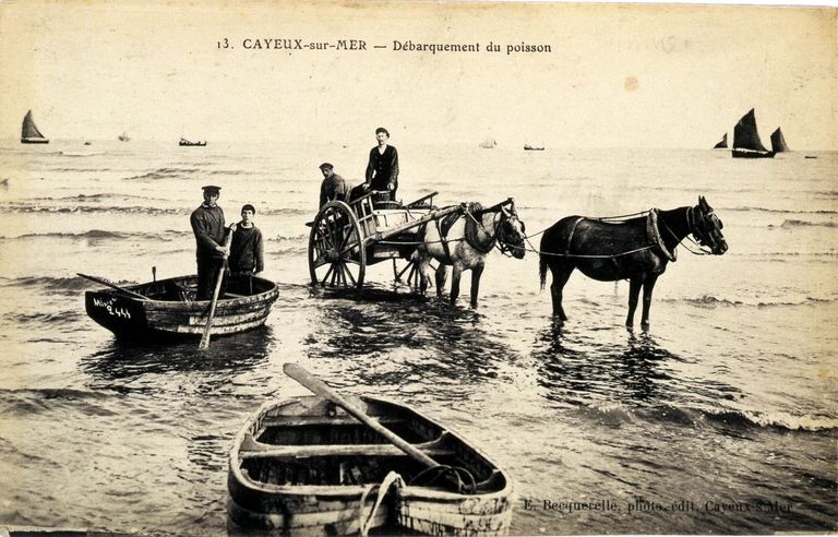 L'agglomération de Cayeux-sur-Mer