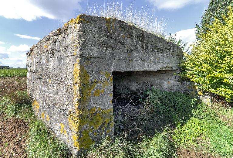 Casemate à canon 245