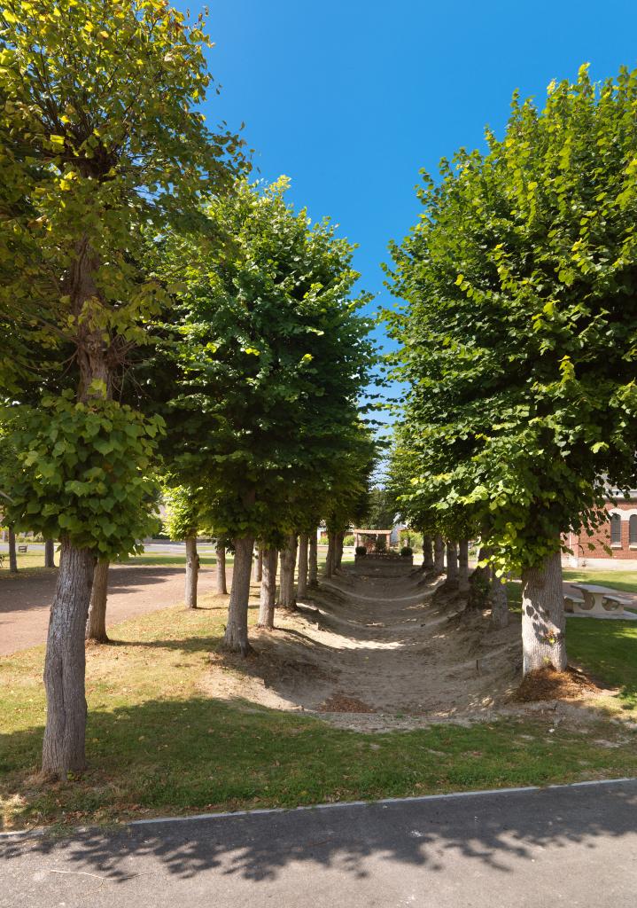 Terrain de jeu de boule à la plume