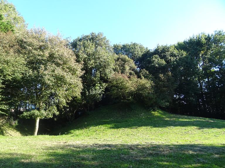 Motte castrale de Bourseville