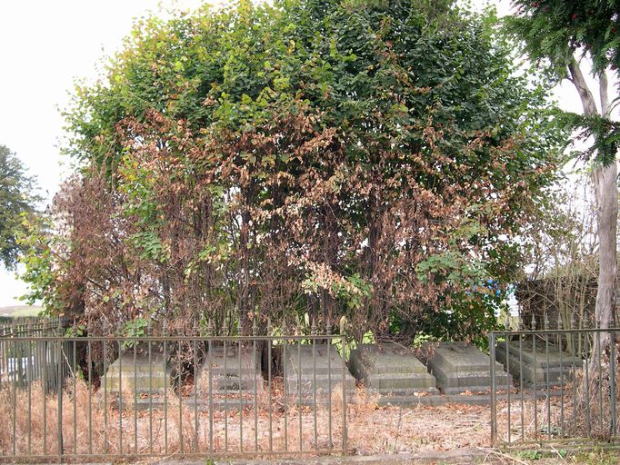 L'architecture funéraire dans les communes étudiées d'Amiens métropole