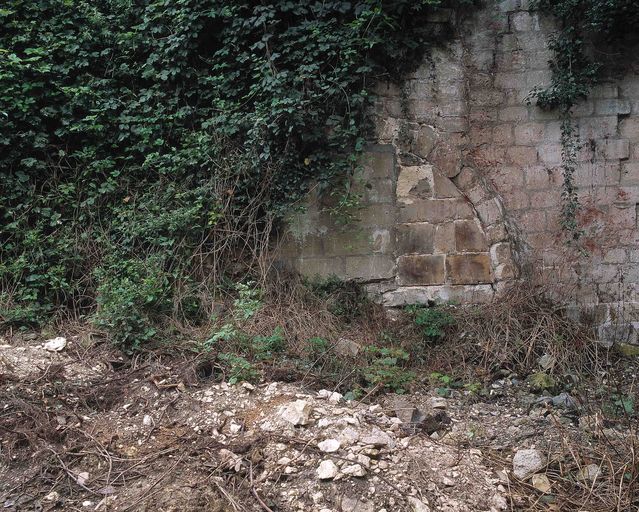Ancienne habitation troglodytique murée et envahie par la végétation, chemin du Stand à Creil.