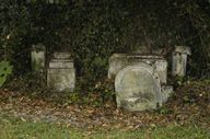 Enclos funéraire de la famille Brunswick-Kulmann (vestiges)