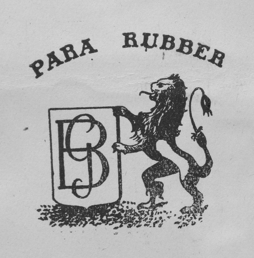 Ancienne usine de caoutchouc Léfébure, Legrand et Cie, puis manufacture Générale de Caoutchouc Veuve Boinet et fils, garage, puis usine de textile non tissé et entrepôt commercial