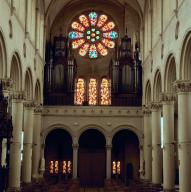 Ensemble de dix verrières (rose, série, verrière abstraite)