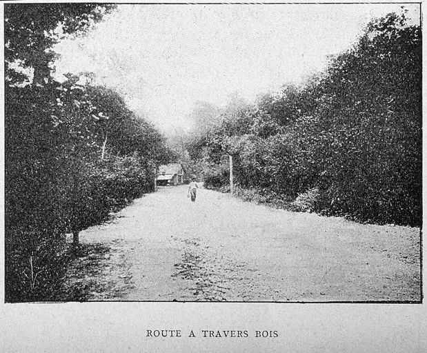 La station balnéaire du Bois-de-Cise à Ault