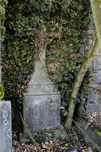 Tombeau (croix funéraire) des familles Dégardin-Vasseur et Vasseur-Thierry