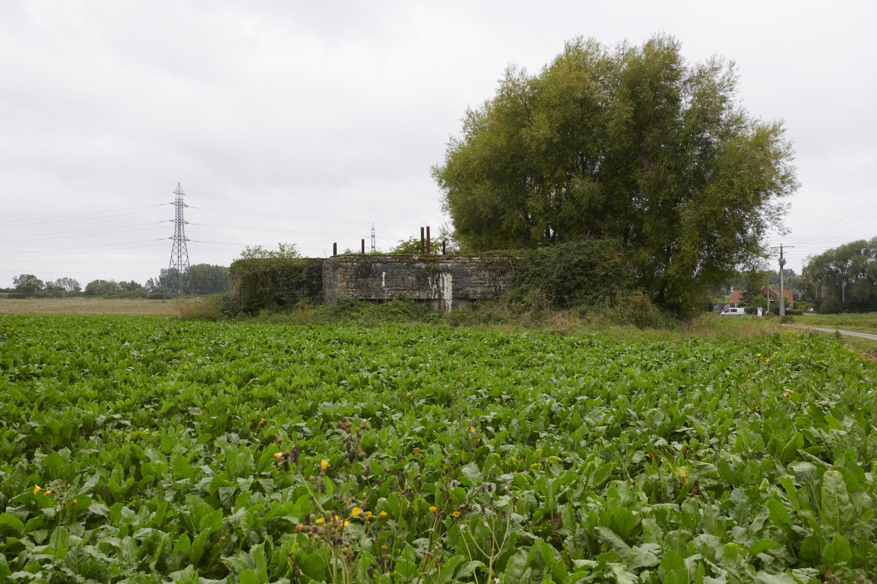 Casemate d'infanterie double – CEZF-A – Balemberg