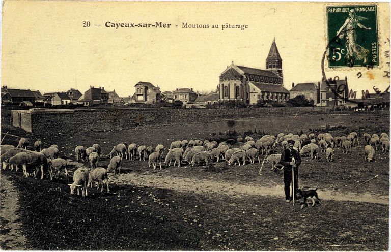 L'agglomération de Cayeux-sur-Mer