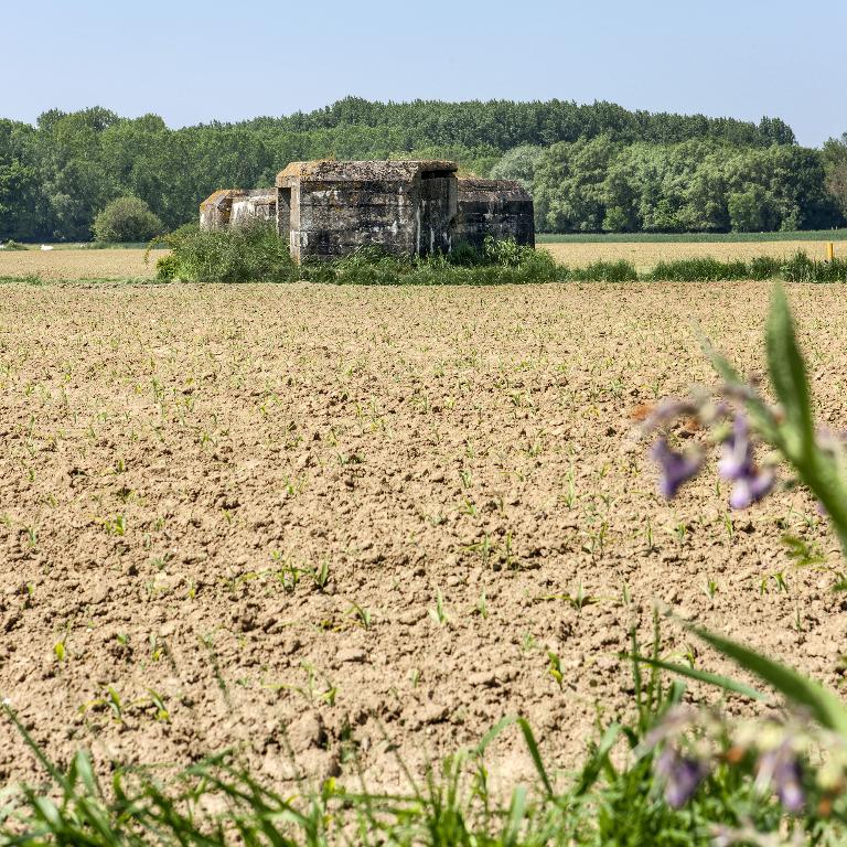 Casemate à mitrailleuse 28, dite Teufelgraben, puis de l'Abbiette