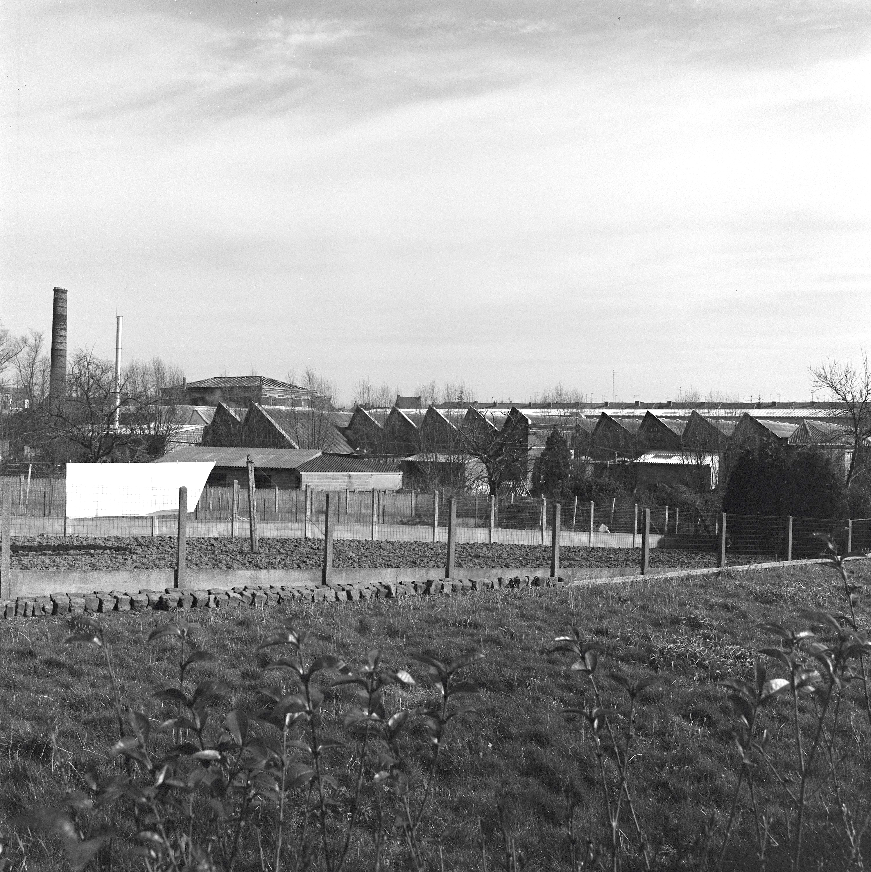 Tissage Deweppes et Becquart, puis Deweppes et Frémaux, puis Vanderschooten (détruit)
