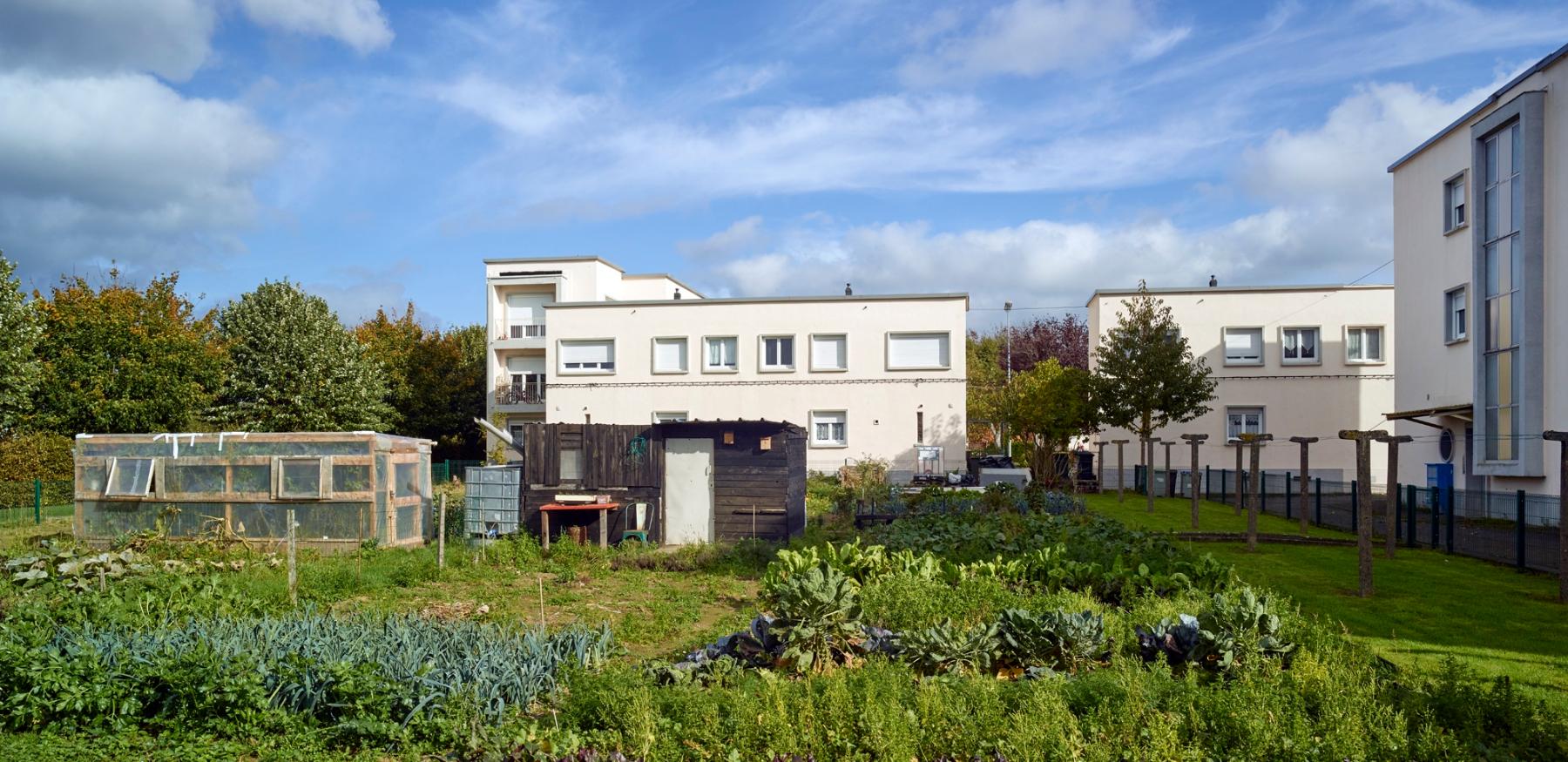 Grand ensemble dit Cité des Fleurs