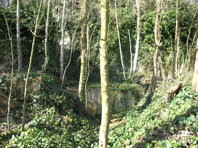 Les usines d'extraction du bassin creillois