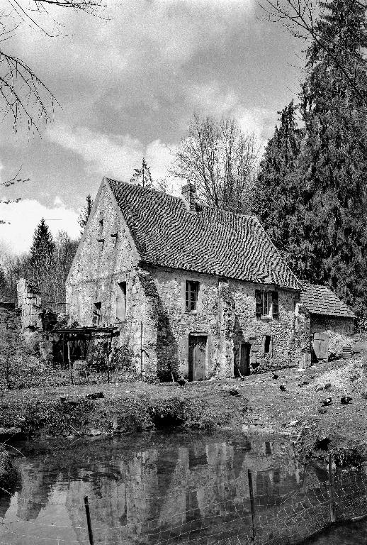 Moulin à blé, dit moulin de Fleury