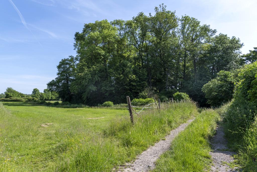 Le village de Conteville